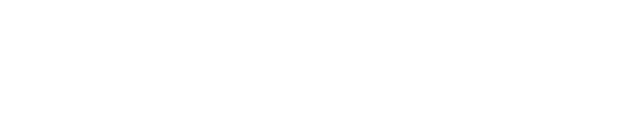 vignetim. White / teal background logo